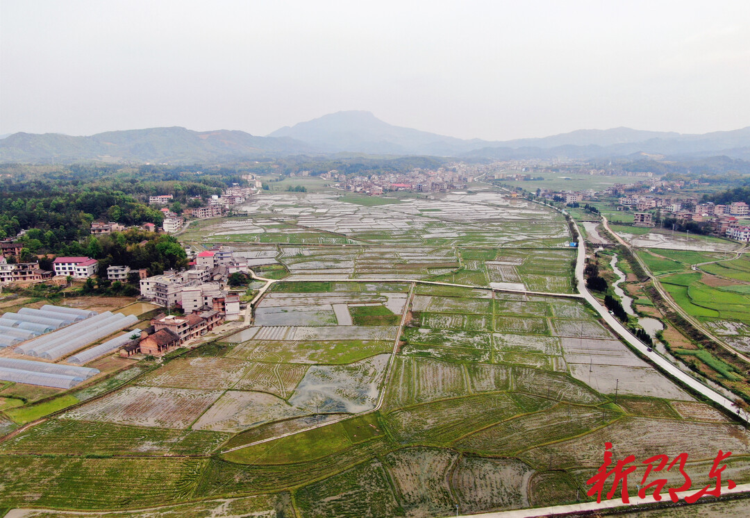 邵阳邵东:全国粮食生产先进个人李善友 不忘初心 守护"粮"心-新湖南