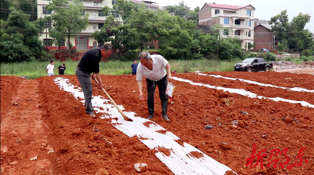 邵东：“大投入”推进耕地恢复  “长牙齿”落实耕地保护