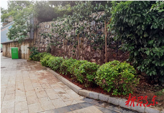 邵东昭阳公园管理处：美化公园环境 为创文助力