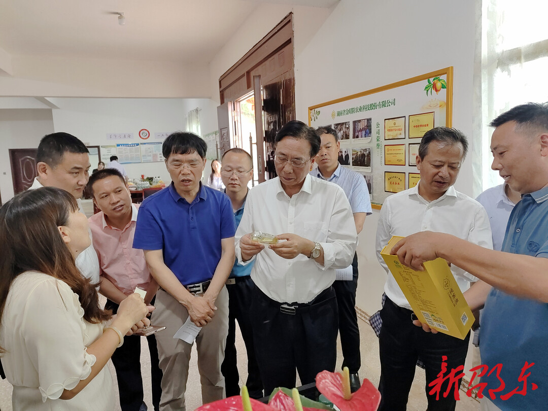 王志群率队来邵东市调研油茶产业