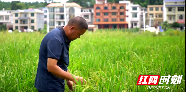 新时代“老兵新传”丨毕国玉：从握钢枪到扛锄头，献身乡村事业30载