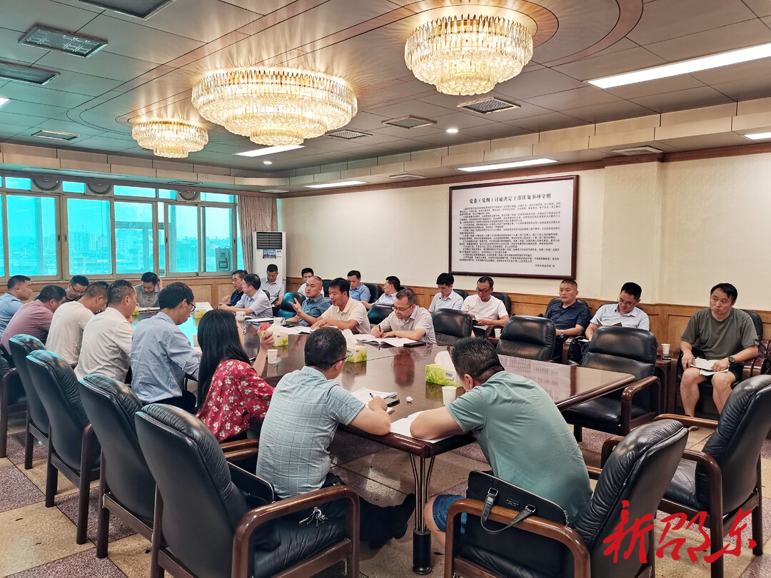 邵东市召开2022年脱贫人口小额信贷工作推进会