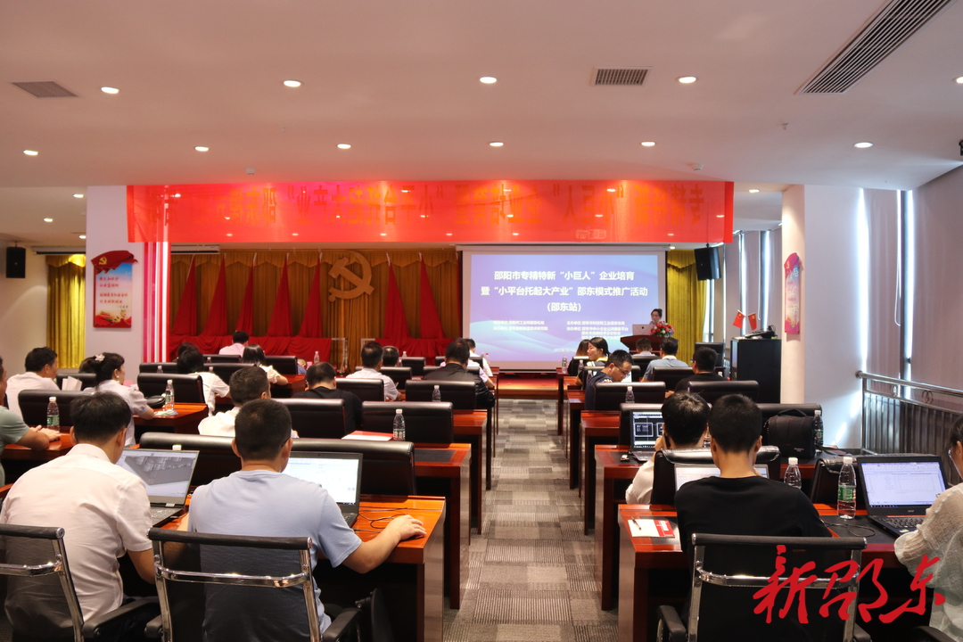 邵阳市专精特新“小巨人”企业培育暨“小平台托起大产业”邵东模式推广活动在邵东举行