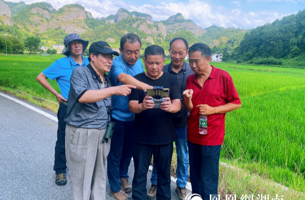 “鸟中国宝”准备回归湖南