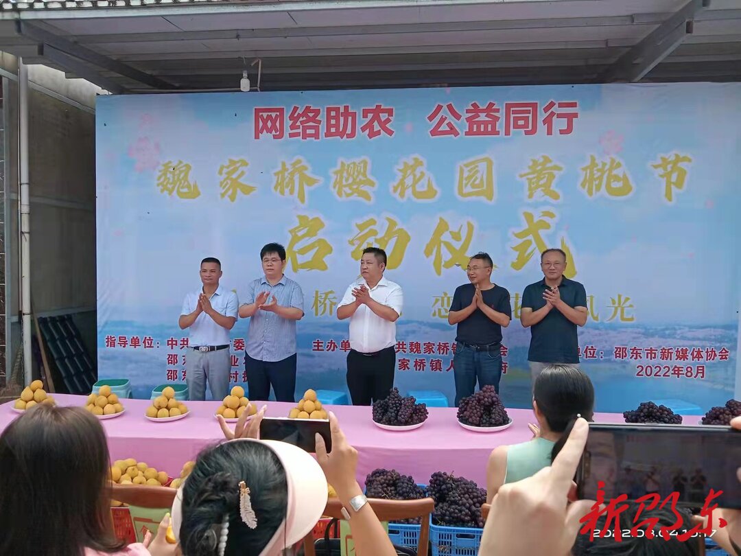 邵东黄桃飘香季 网络助农直播忙