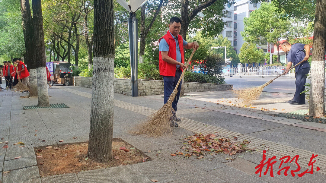 市委办组织开展全民文明创建活动