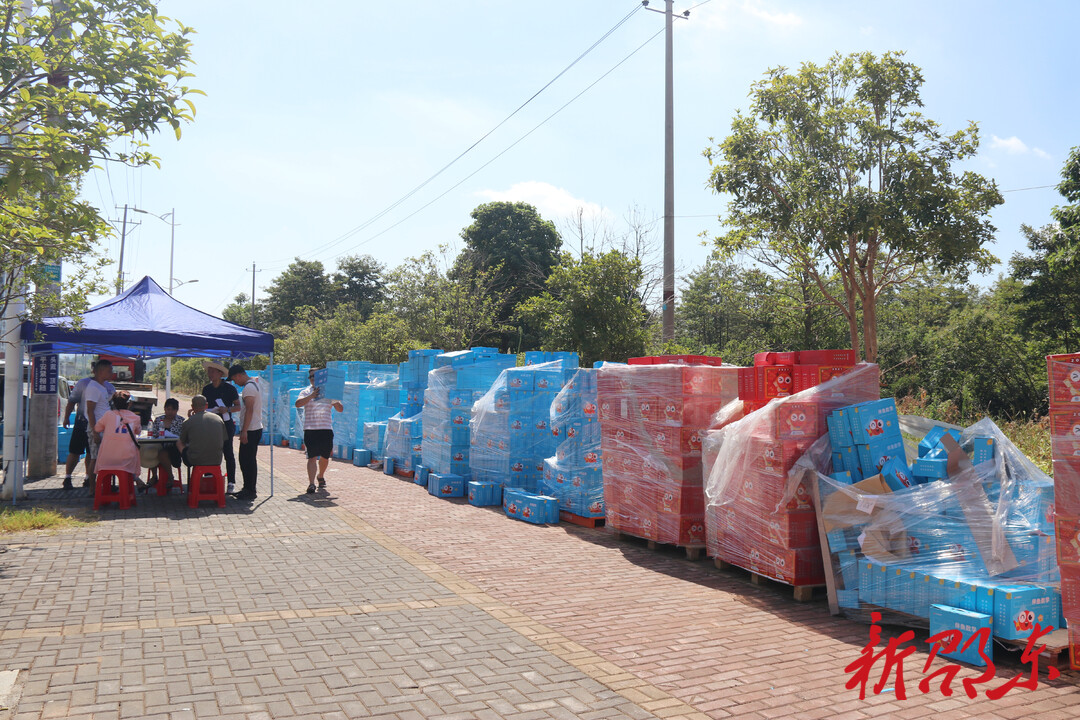 北京情系远山公益基金会向邵东市捐赠6075套教具