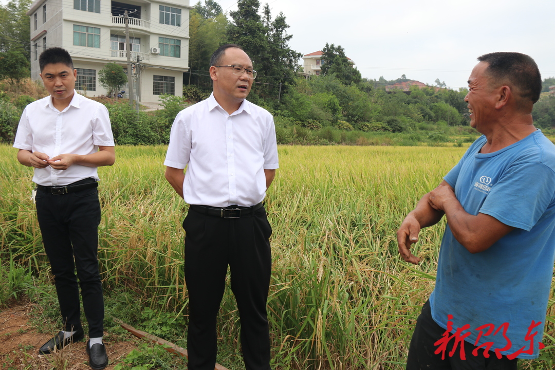 罗健康到火厂坪镇调研指导抗旱、疫情防控等当前重点工作