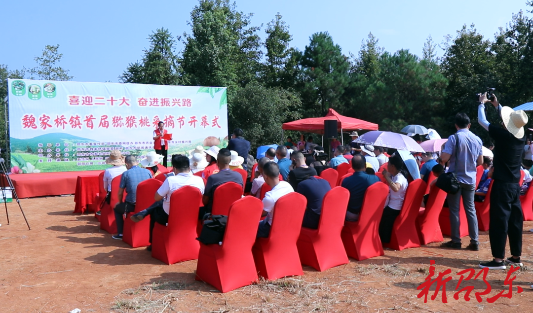 邵东市举办“喜迎二十大 奋进振兴路”魏家桥镇首届猕猴桃采摘节活动