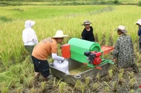 新风乡村|党员群众互帮互助，让党建创新激活乡村治理！