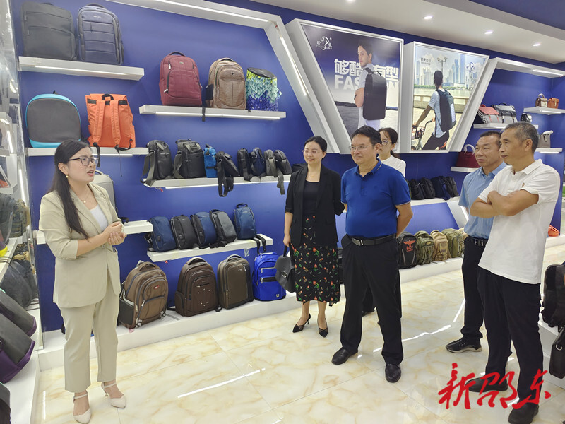 黄负平带队调研邵东市智能制造产业链发展状况