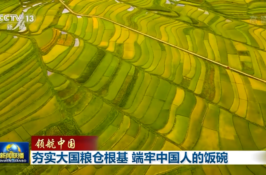 领航中国丨夯实大国粮仓根基 端牢中国人的饭碗