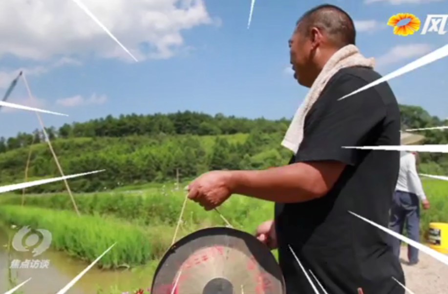 人鸟斗法 老雷落败 | 普利桥种粮记第二季上新