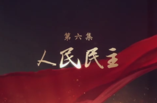 人民民主——大型电视专题片《领航》第六集