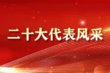 二十大代表风采