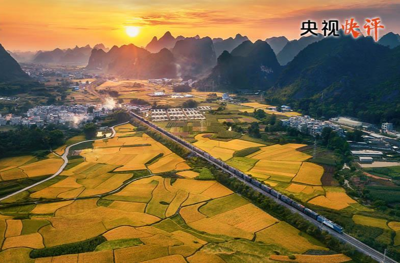 央视快评丨在党的旗帜下团结成“一块坚硬的钢铁”