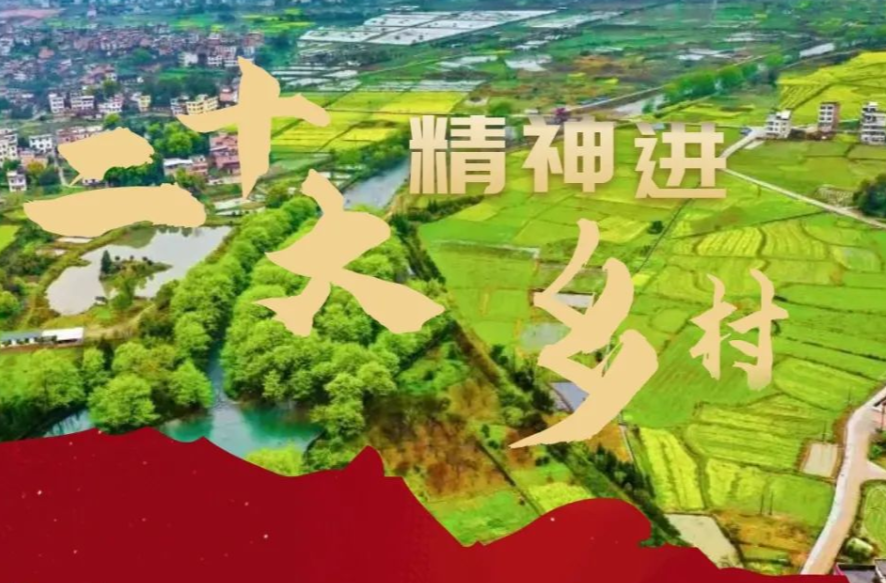 二十大精神进乡村|全方位夯实粮食安全根基，湖南绘就多彩丰收画卷