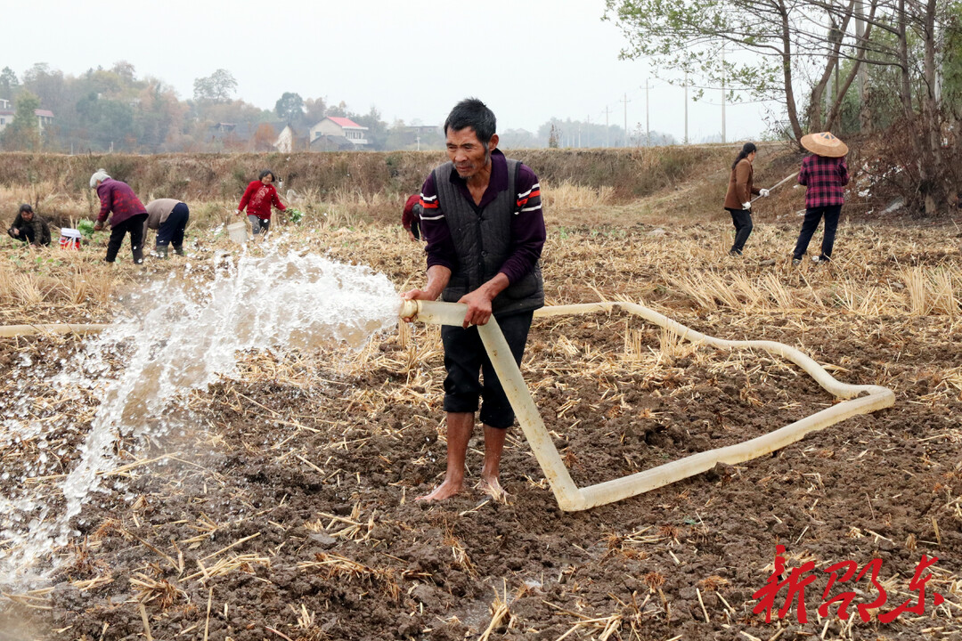 邵东：把党的二十大精神写在田间地头