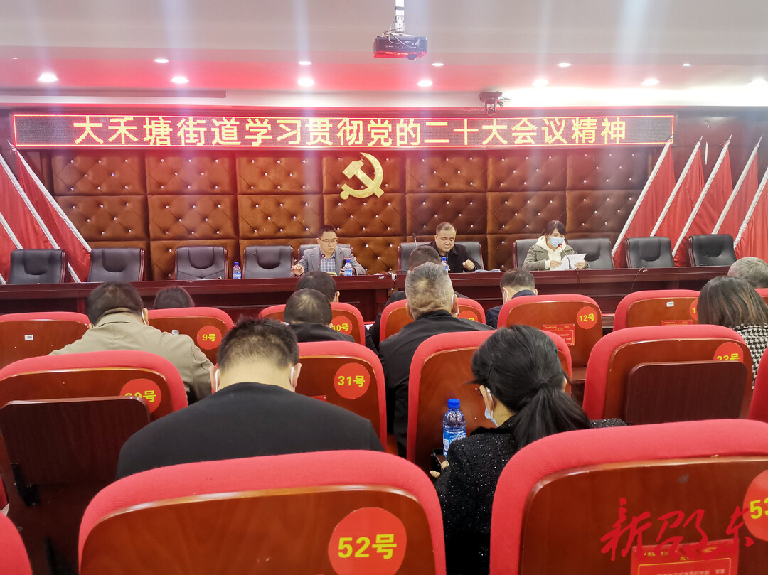 【学报告 作表率 抓落实】大禾塘街道：党建引领抓项目 凝心聚力谋发展