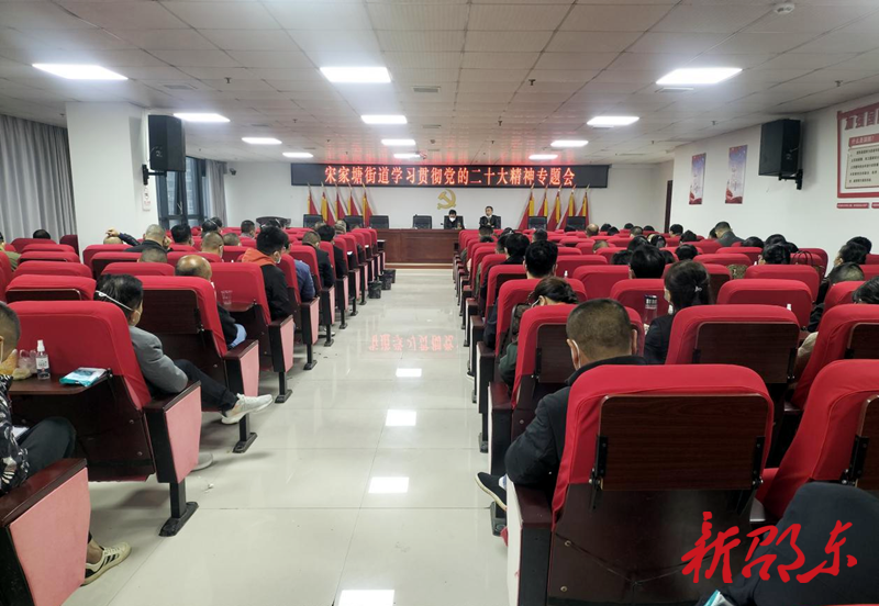 【学报告 作表率 抓落实】宋家塘街道：踔厉奋发谱华章 勇毅前行向未来