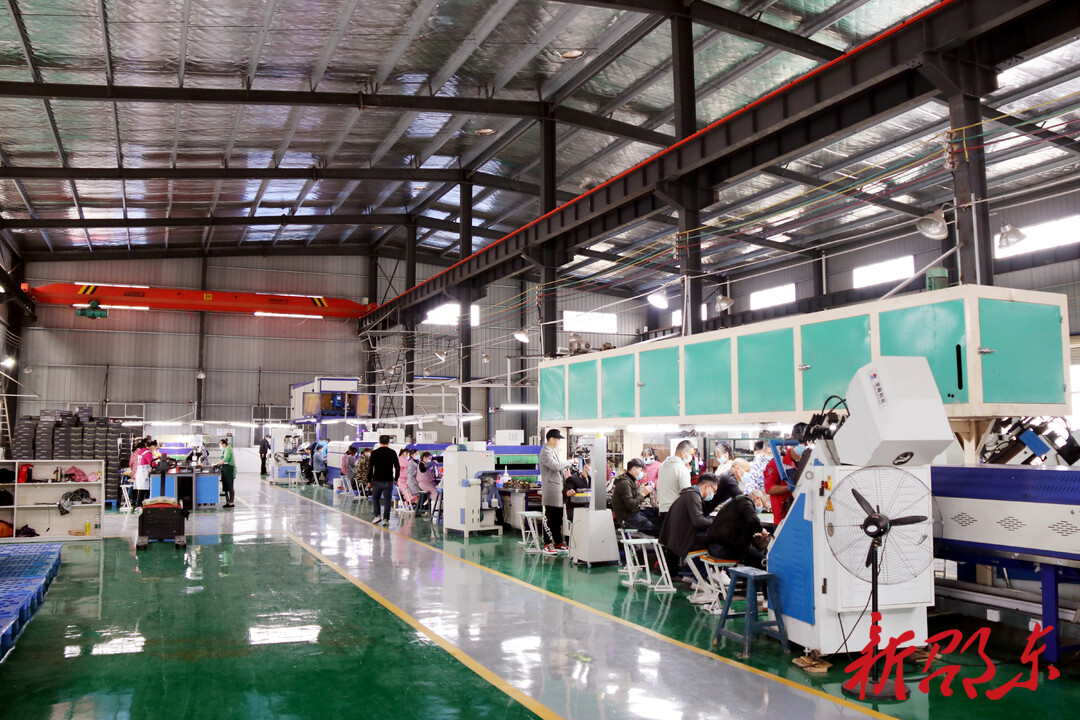 【学报告 作表率 抓落实】健泰鞋业：加快产业转型升级  做大做强产业链条