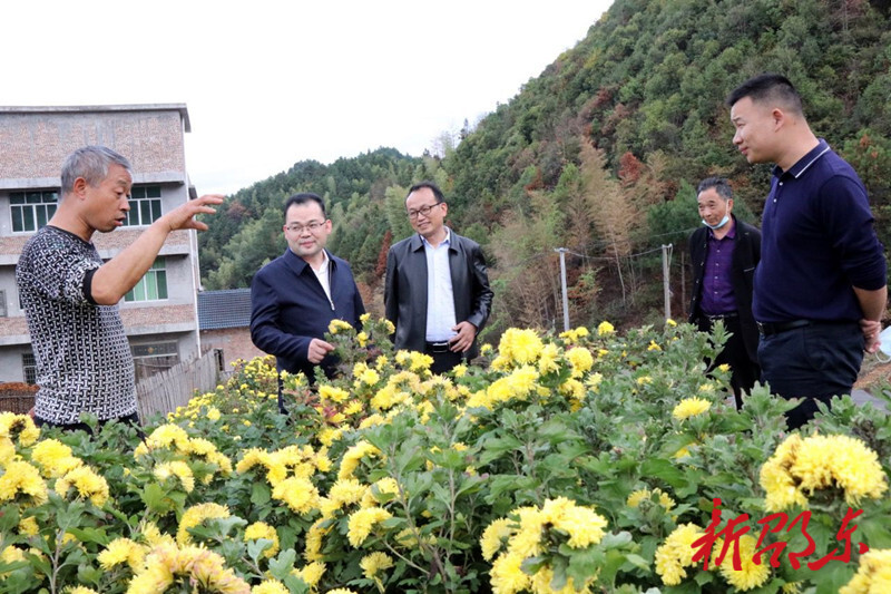 陈业华到堡面前乡调研乡村振兴工作