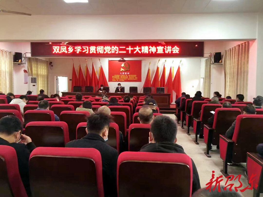 【学报告 作表率 抓落实 】双凤乡：做优特色农业产业 奋力谱写兴乡富民新篇章