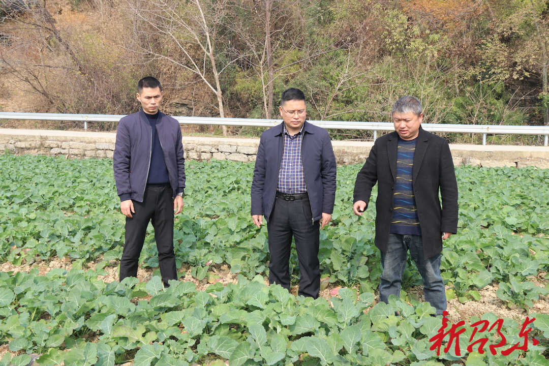 【学报告 作表率 抓落实】简家陇镇：深学笃行促发展  求真务实谋新篇