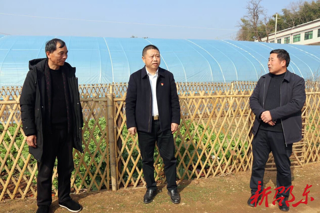 【学报告 作表率 抓落实】九龙岭镇：做强油茶特色产业  打造红色文旅小镇