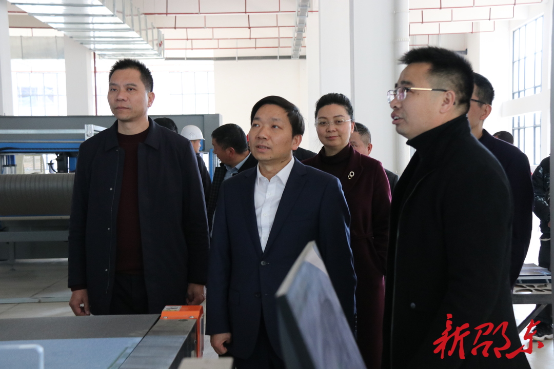 李国军调研项目复工、企业复产工作