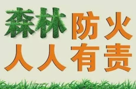 应急科普 | 冬季森林防火正当时，这些知识须知道！