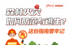 【科普动起来】图解|森林火灾如何防范与逃生？这份指南要牢记