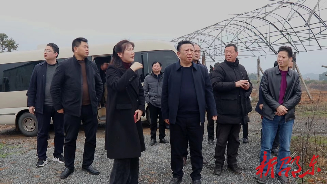 周玉凡带队到灵官殿、佘田桥调研五项重点工作