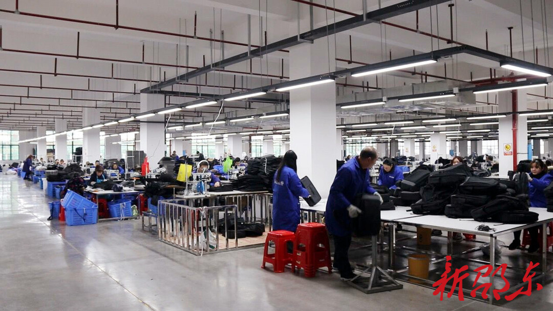 邵东：企业信心满满冲刺“开门红”