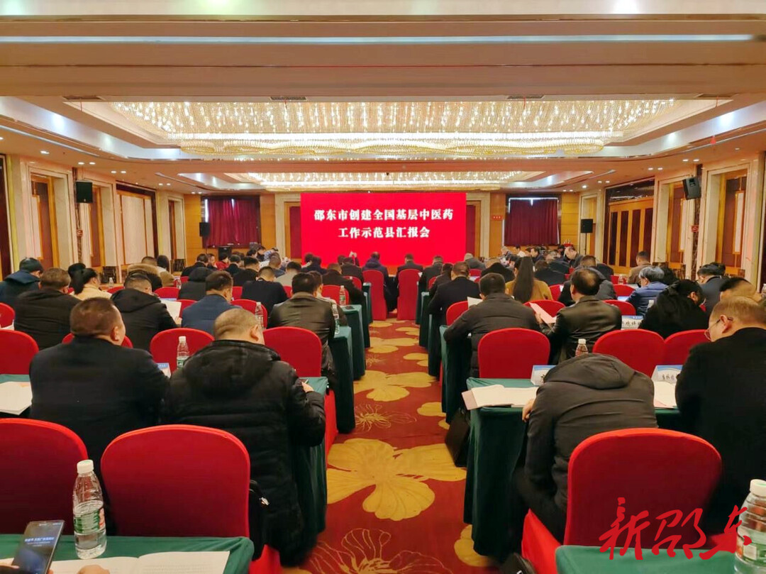 全国基层中医药工作示范县专家评审组来邵东市评审考核创建工作