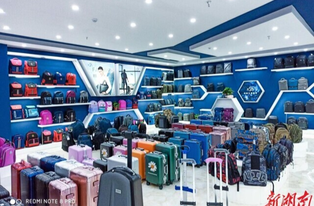 湖南日报丨“雁归来 建家乡”系列⑤李刚清：“包”里乾坤大