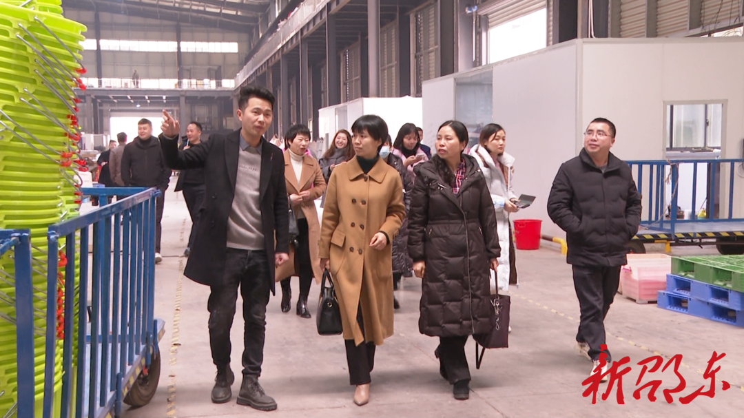 【委员风采】邵东市政协统战组：发挥统战特色 服务地方发展