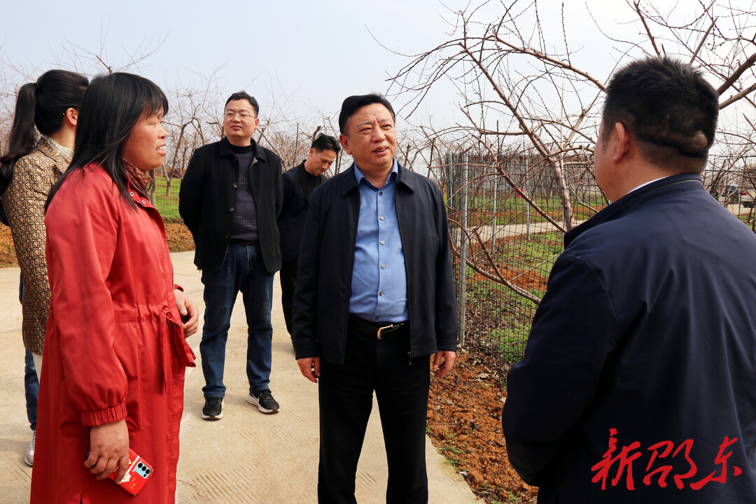 周玉凡到魏家桥镇调研