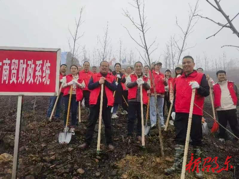 邵东市审计局积极开展义务植树活动