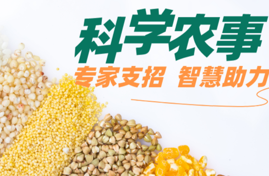 科学农事|市场回暖，春季养猪需要注意哪些问题？