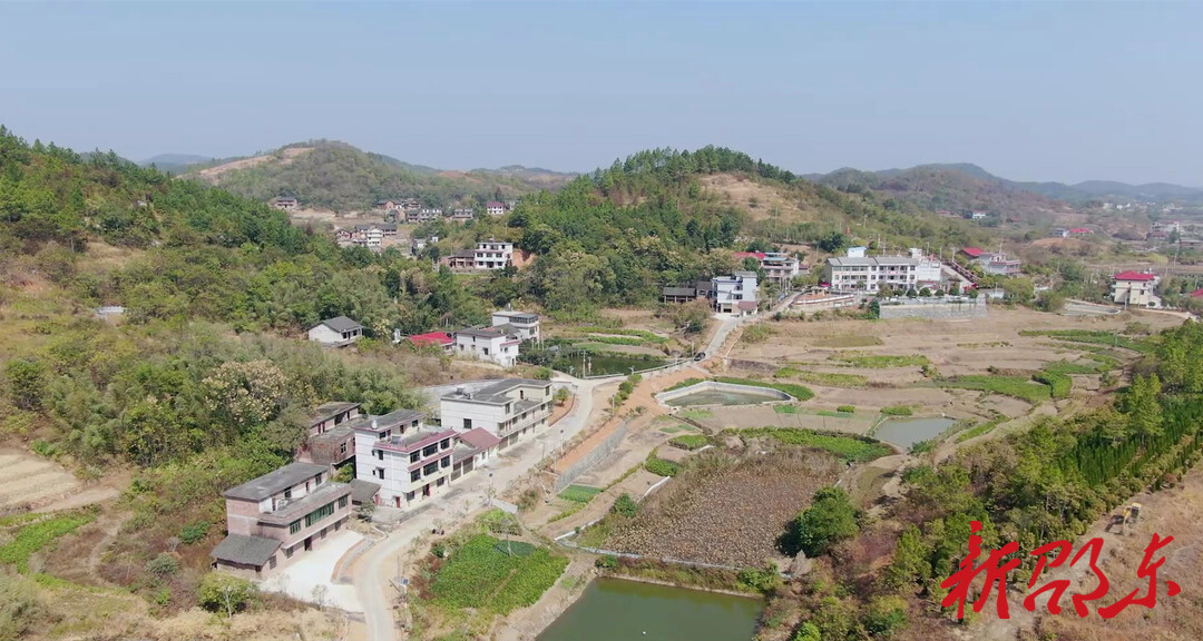 【代表风采】曾纲华：合力敲开幸福门