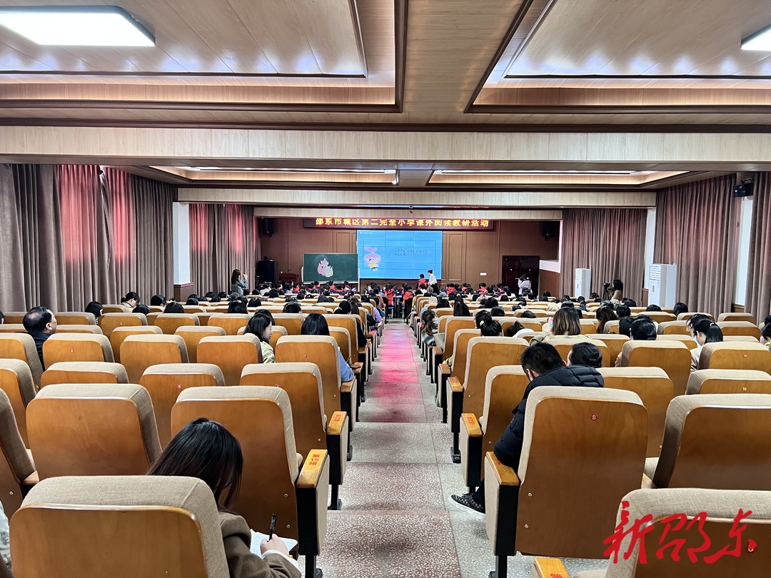 邵东市城区二完小举办课外阅读教研活动