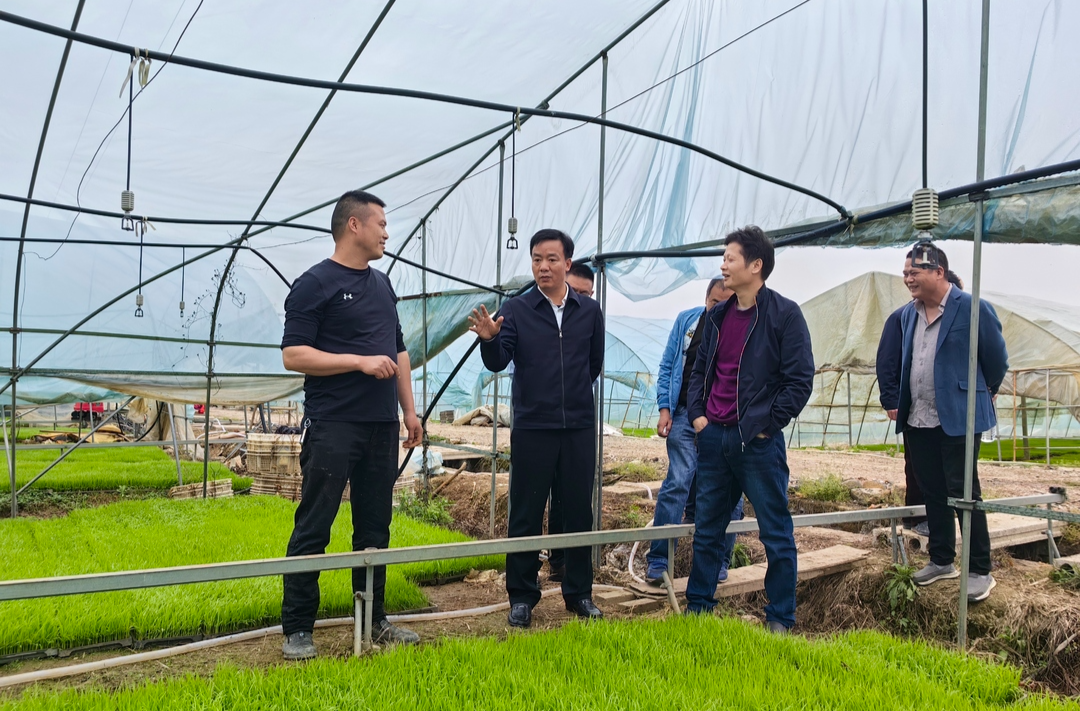 刘家豪到牛马司镇调研春耕生产等工作