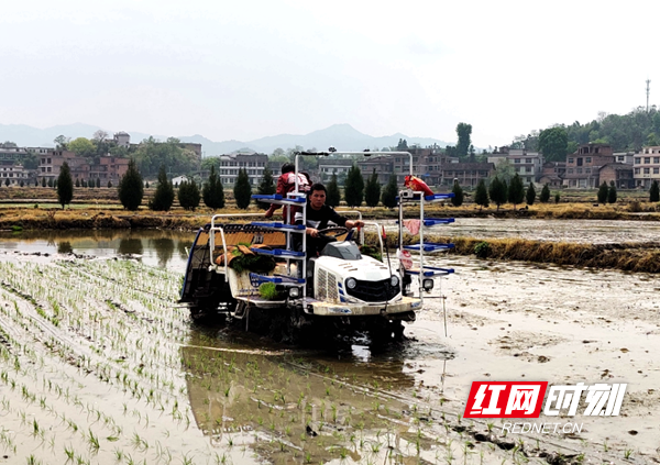 奋进的春天丨邵阳：农业机械化 催生“三农”发展新动能