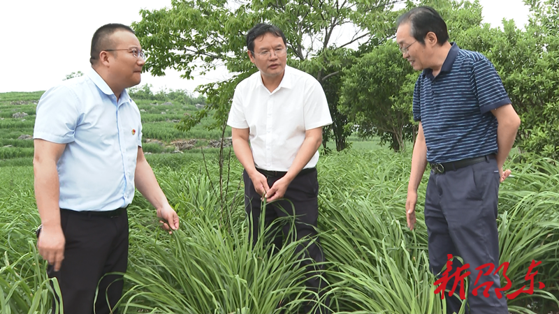 黄负平到流光岭镇督办人大代表建议