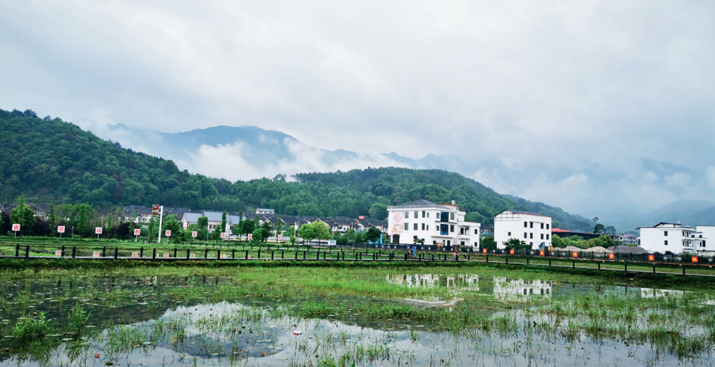 湖南邵阳：高质量书写易地搬迁“后半篇”文章