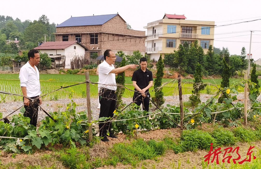 罗健康到火厂坪镇丰裕村调研乡村振兴工作