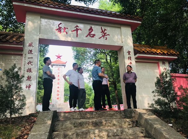 黄负平带队到团山镇调研