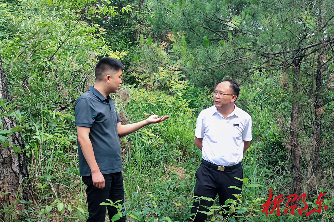 罗健康到火厂坪镇开展巡林工作并督查校园食品安全