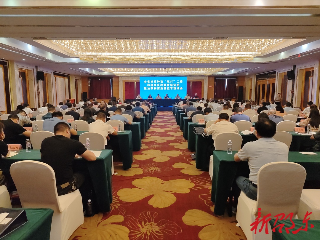 全省油茶种苗质量监管现场会在邵东市召开